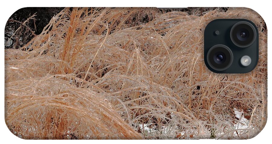 Ice iPhone Case featuring the photograph Ice And Dry Grass by Daniel Reed