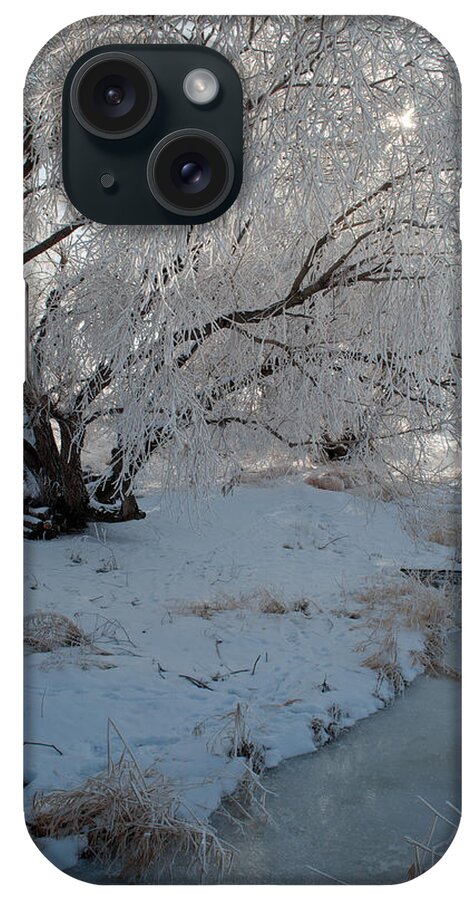 Montana iPhone Case featuring the photograph Ice Covered Tree and Creek in Montana by Bruce Gourley