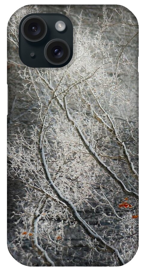 Nature iPhone Case featuring the photograph Ice Fingers by Marcia Lee Jones