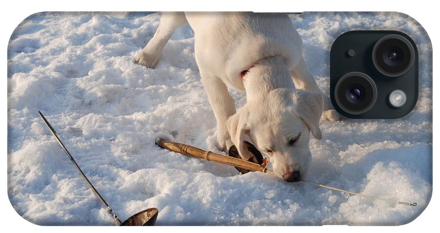 Lab iPhone Case featuring the photograph ICE FISHING LAB No. 1 by Janice Adomeit