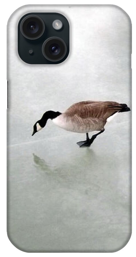 Water iPhone Case featuring the photograph Ice Goose by Joyce Wasser