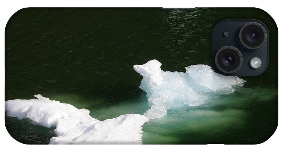 Ice Sculpture iPhone Case featuring the photograph Ice Sculpture in the Tracy Arm Fjordj by Bev Conover