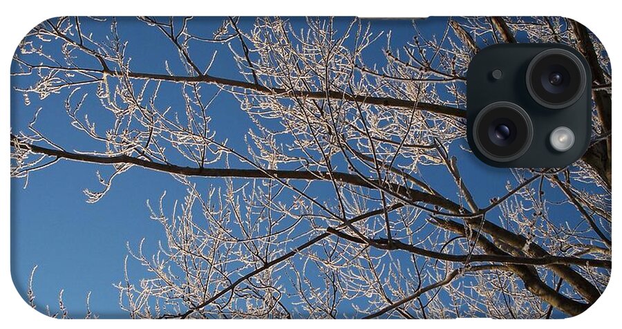 Branches iPhone Case featuring the photograph Ice Storm Branches by Michelle Miron-Rebbe