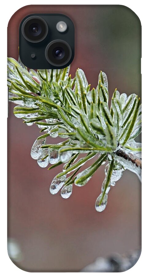 April iPhone Case featuring the photograph Ice Storm Remnants V by Theo OConnor