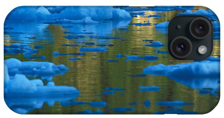 Glacier iPhone Case featuring the photograph Icebergs, Leconte Bay, Alaska by Ron Sanford