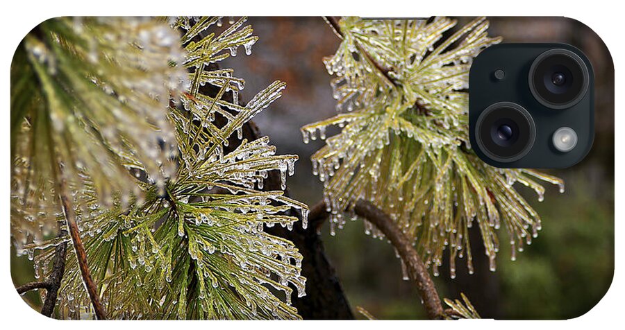 Ice iPhone Case featuring the photograph Icy Pine by Mark McKinney
