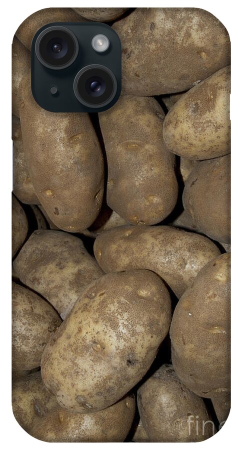 Potatoes iPhone Case featuring the photograph Idaho Russet Potatoes by William H. Mullins
