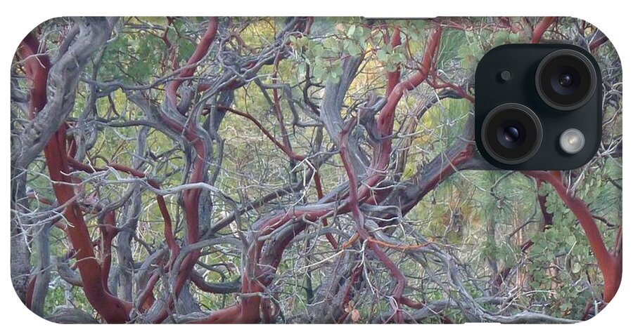  iPhone Case featuring the photograph Idyllwild Red Tree by Nora Boghossian