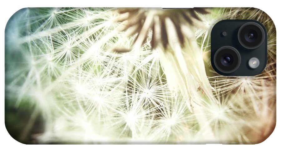 Dandelion iPhone Case featuring the photograph Illuminated Wishes by Marianna Mills