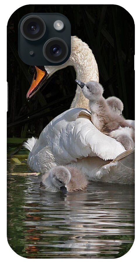 Cygnet iPhone Case featuring the photograph I'm Here Mommy by Gill Billington