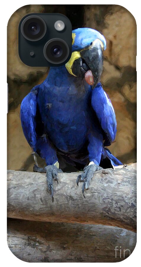 Birds iPhone Case featuring the photograph Blue Macaw by Doc Braham