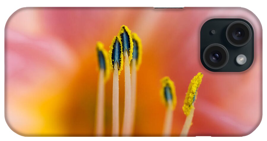 Macro iPhone Case featuring the photograph Impressions of a Lily by Steve Stephenson