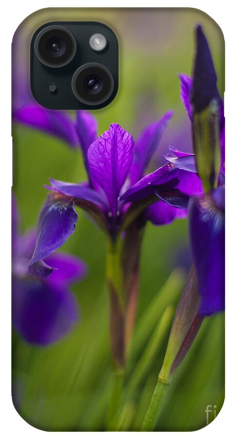 Iris iPhone Case featuring the photograph Purple Irises In Beautiful Company by Mike Reid