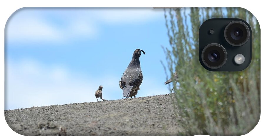 Quail iPhone Case featuring the photograph In Dad's Footsteps by Laurianna Taylor