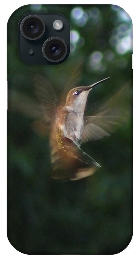 Bird iPhone Case featuring the photograph In Flight by Photographic Arts And Design Studio