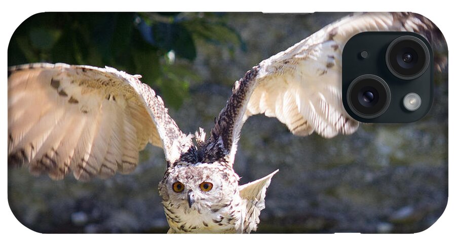 Owl iPhone Case featuring the photograph In Flight by Sheila Wedegis