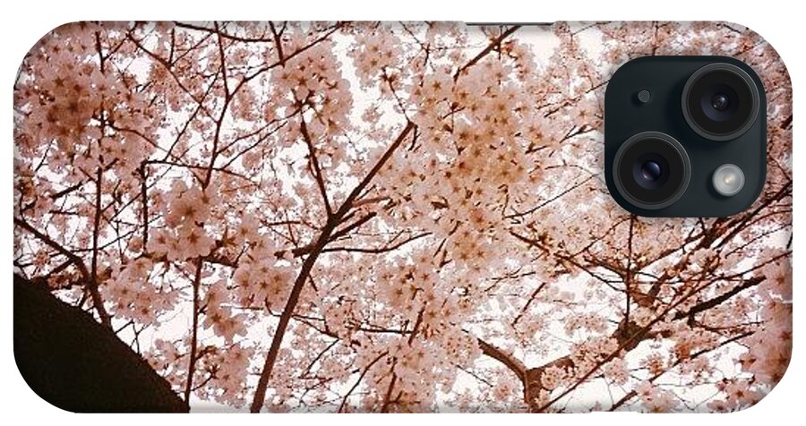 Beautiful iPhone Case featuring the photograph In Full Bloom.#instagood #love by Saito Hironobu