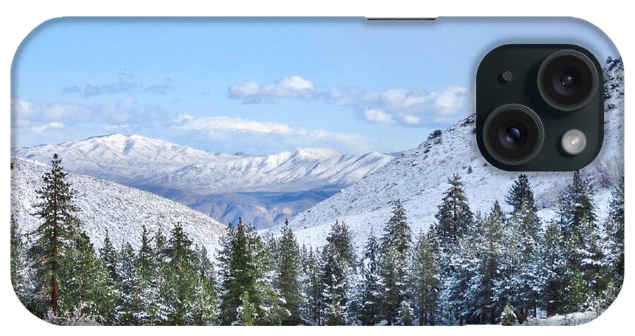 Snowy Pines iPhone Case featuring the photograph In The Canyon by Marilyn Diaz