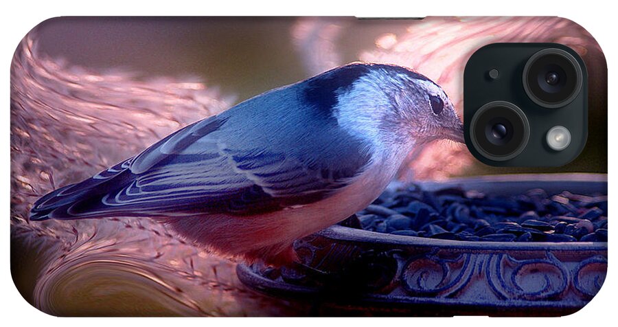 Nuthatch iPhone Case featuring the photograph In The Light... by Arthur Miller