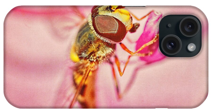 Hoverfly iPhone Case featuring the photograph In The Pink by Sue Capuano