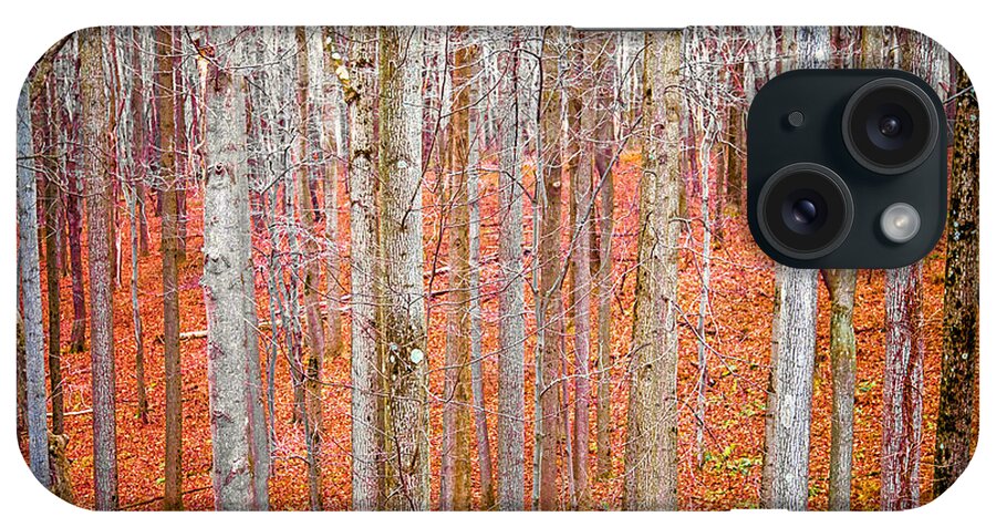 Autumn Leaves iPhone Case featuring the photograph In The Sticks by April Reppucci
