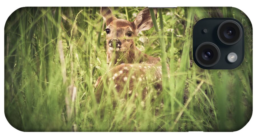 Deer iPhone Case featuring the photograph In The Tall Grass by Shane Holsclaw