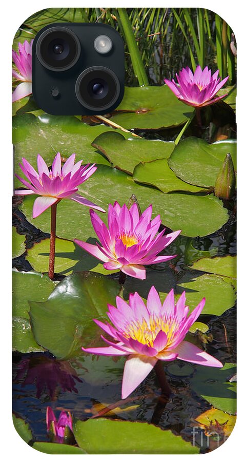 Flower iPhone Case featuring the photograph In the Water Lily Pool 02 by Arik Baltinester