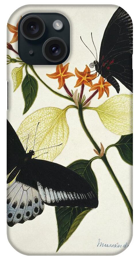 Mussaenda Speciosa iPhone Case featuring the photograph Indian Butterflies And Flowers by Natural History Museum, London/science Photo Library