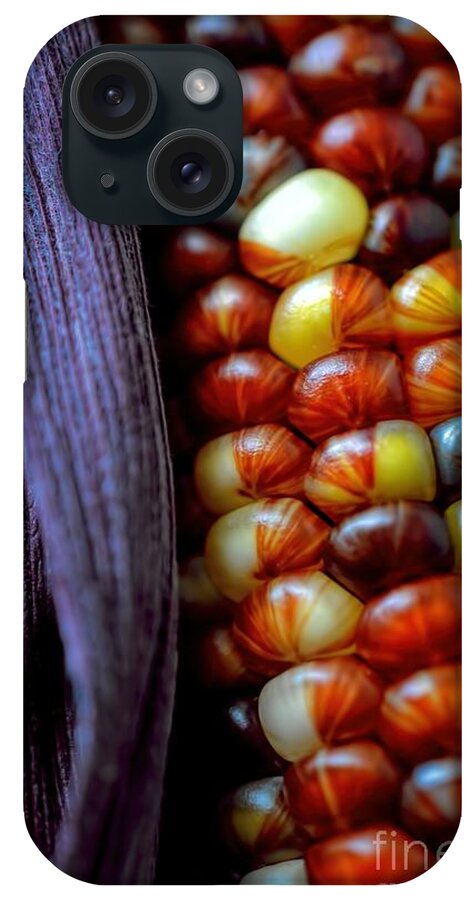 Indian Corn iPhone Case featuring the photograph Indian Corn Autumn by Henry Kowalski