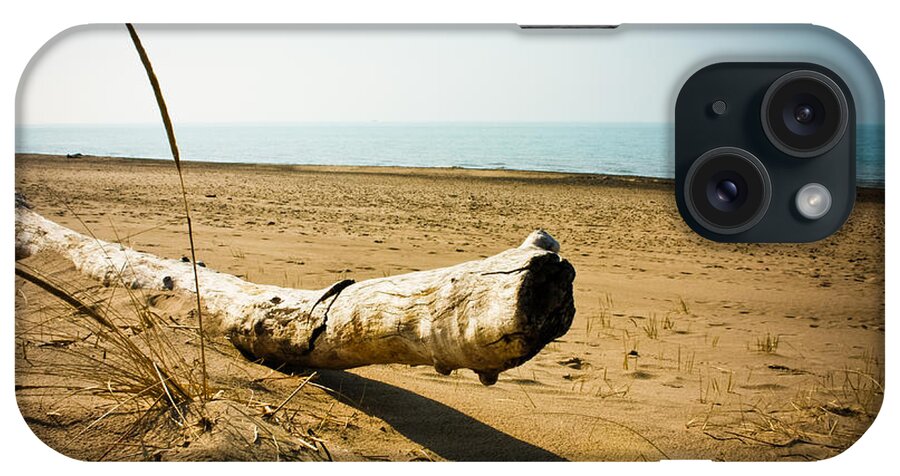 Indiana iPhone Case featuring the photograph Indiana Dunes Beach by Anthony Doudt