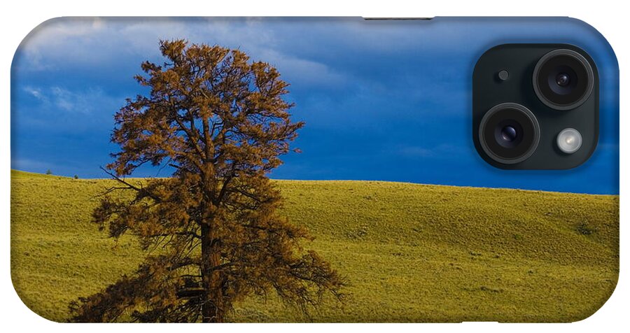 Individuality iPhone Case featuring the photograph Individuality 2 by Monte Arnold