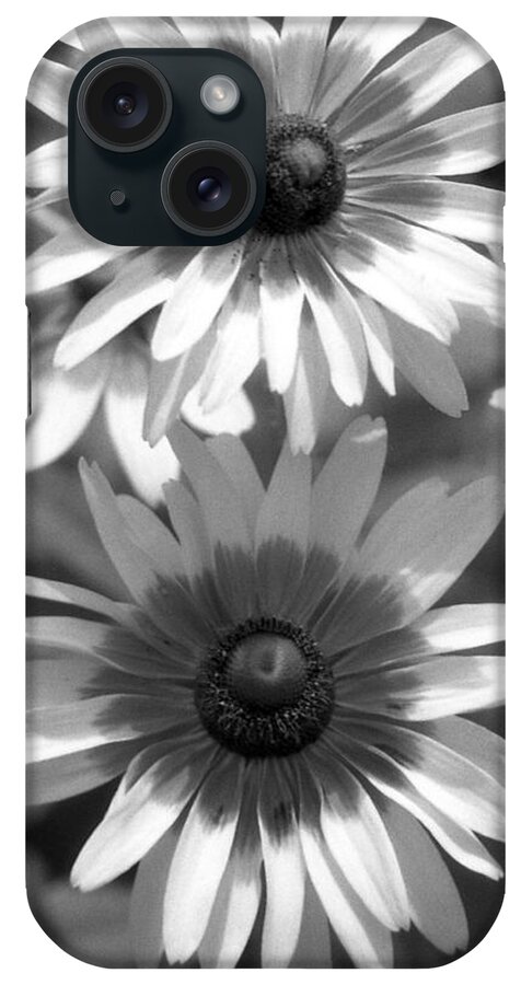 Brown-eyed Susan iPhone Case featuring the photograph Infrared - Brown-eyed Susan - Summer Light 02 by Pamela Critchlow