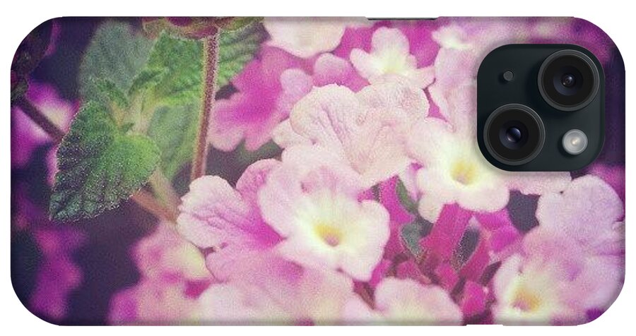Flowerporn iPhone Case featuring the photograph Insecurities, Guess It Is Caused By by Janicew Shum