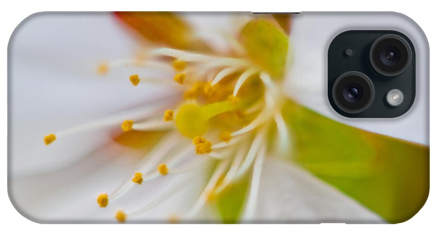 Flower iPhone Case featuring the photograph Inside the Flower by Jonny D