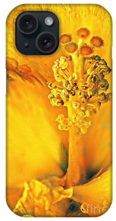 Hibiscus iPhone Case featuring the photograph Inside the Hibiscus by Barry Weiss