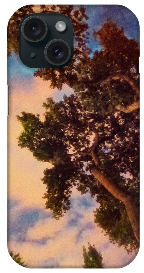 Landscapes iPhone Case featuring the photograph Inspired by Maxfield Parrish by Mary Lee Dereske