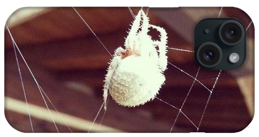Spider iPhone Case featuring the photograph Instagram Photo by Blake Kirby