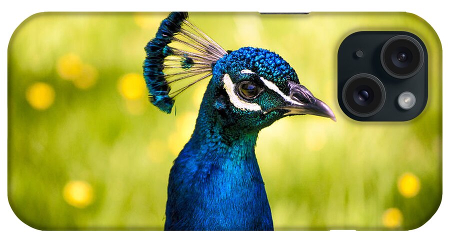 Color iPhone Case featuring the photograph Instagram Photo by Casey Merrill