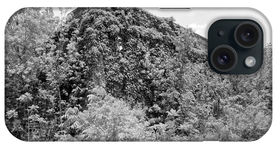 Insulation iPhone Case featuring the photograph Insulation bw by Elizabeth Sullivan