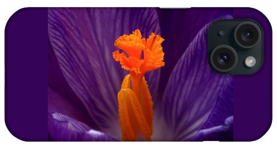 Crocus iPhone Case featuring the photograph Interior Design by Rona Black