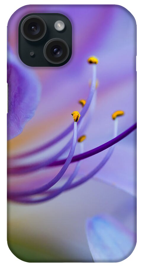 Flower iPhone Case featuring the photograph Intimate Details by Bill and Linda Tiepelman