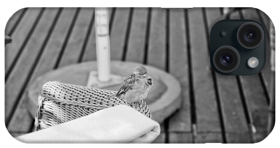 Sparrow iPhone Case featuring the photograph Invite Me To Your Table by Dariusz Gudowicz