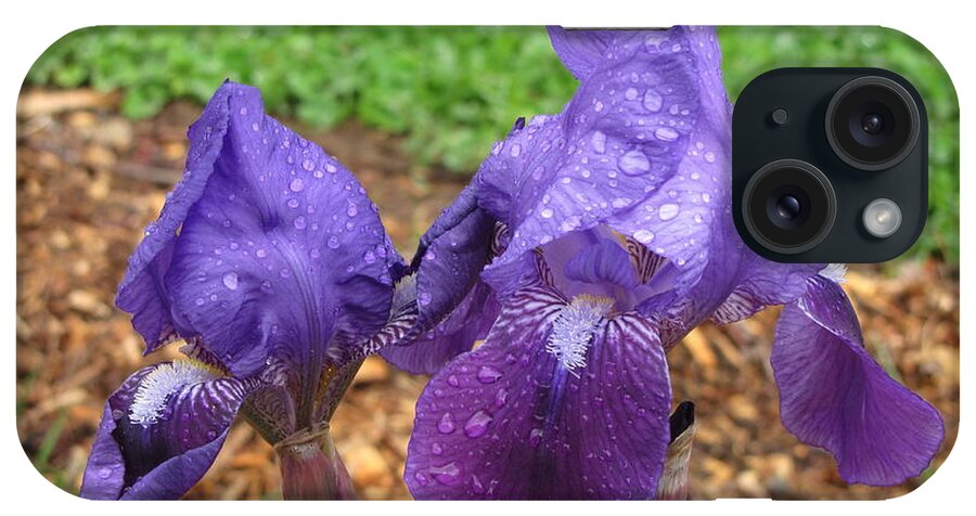 Purple Iris iPhone Case featuring the photograph Iris After Rain by KATIE Vigil