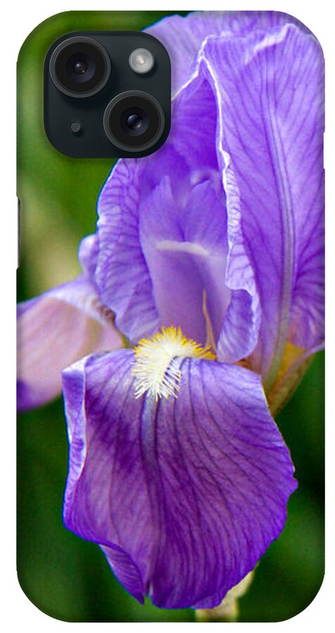 Background iPhone Case featuring the photograph Iris by Lana Trussell