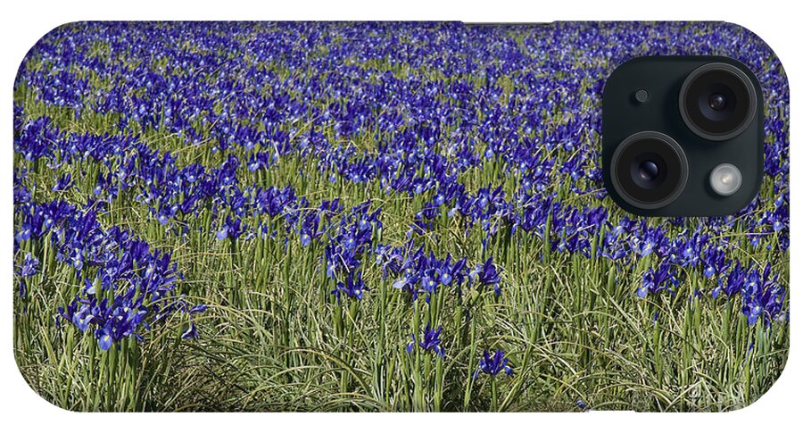 Irises Forever iPhone Case featuring the photograph Irises Forever by Victoria Harrington