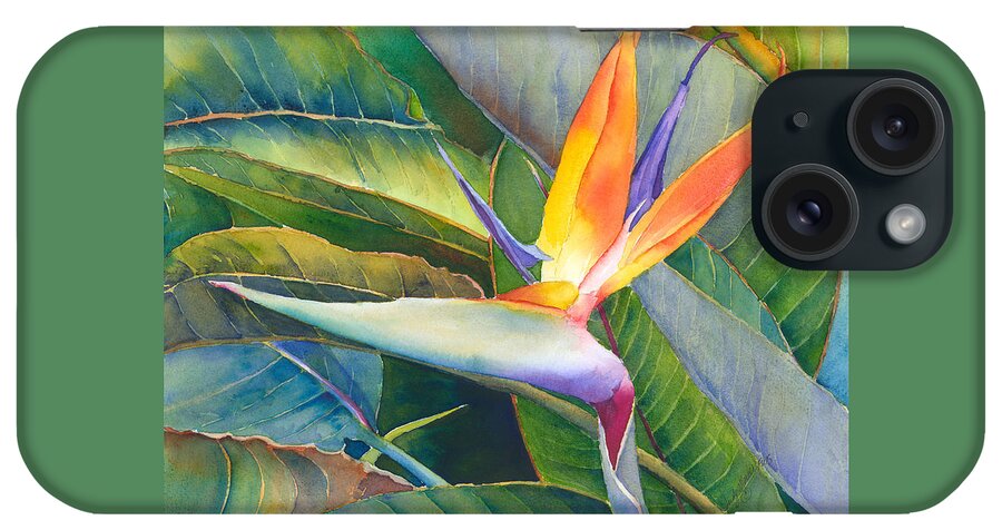 Bird Of Paradise iPhone Case featuring the painting Its a Bird by Judy Mercer