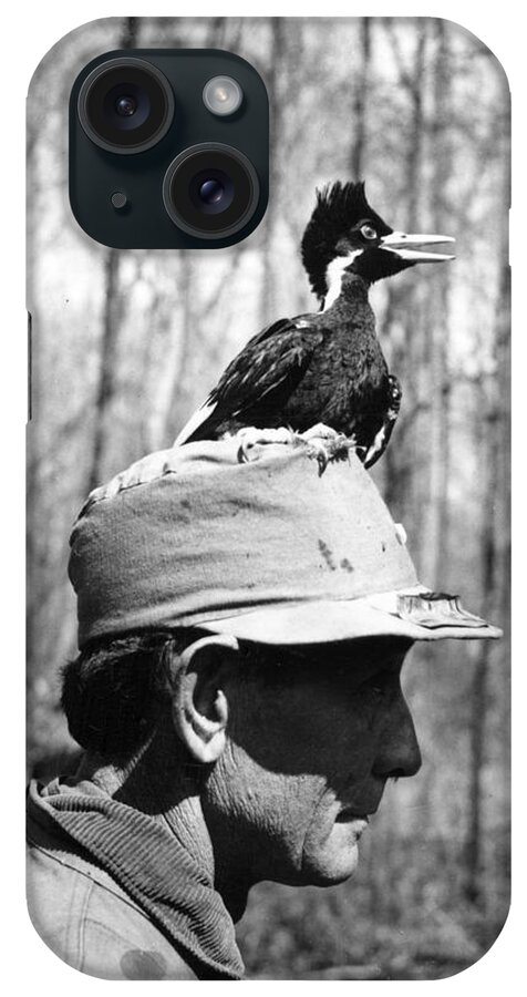 Bird iPhone Case featuring the photograph Ivory-billed Woodpecker Nestling by James T. Tanner