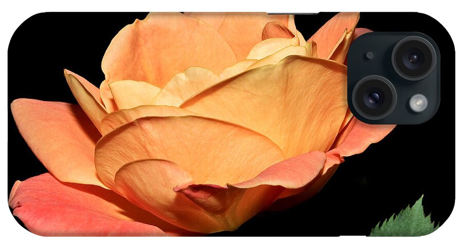 Roses iPhone Case featuring the photograph Jacob's Other Coat by Tammy Schneider