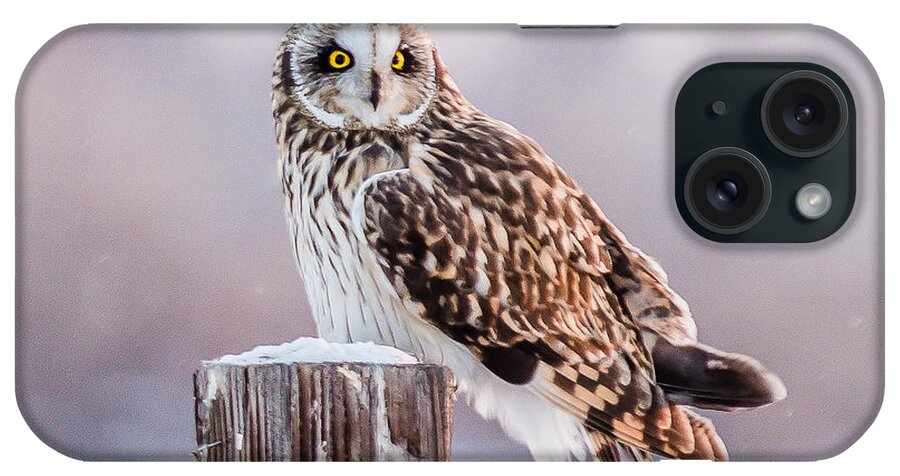 Short-eared Owl iPhone Case featuring the photograph January Cold by Yeates Photography