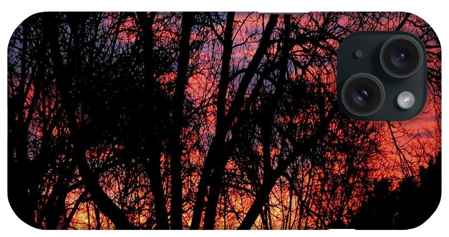 Dawn iPhone Case featuring the photograph January Dawn by Luther Fine Art